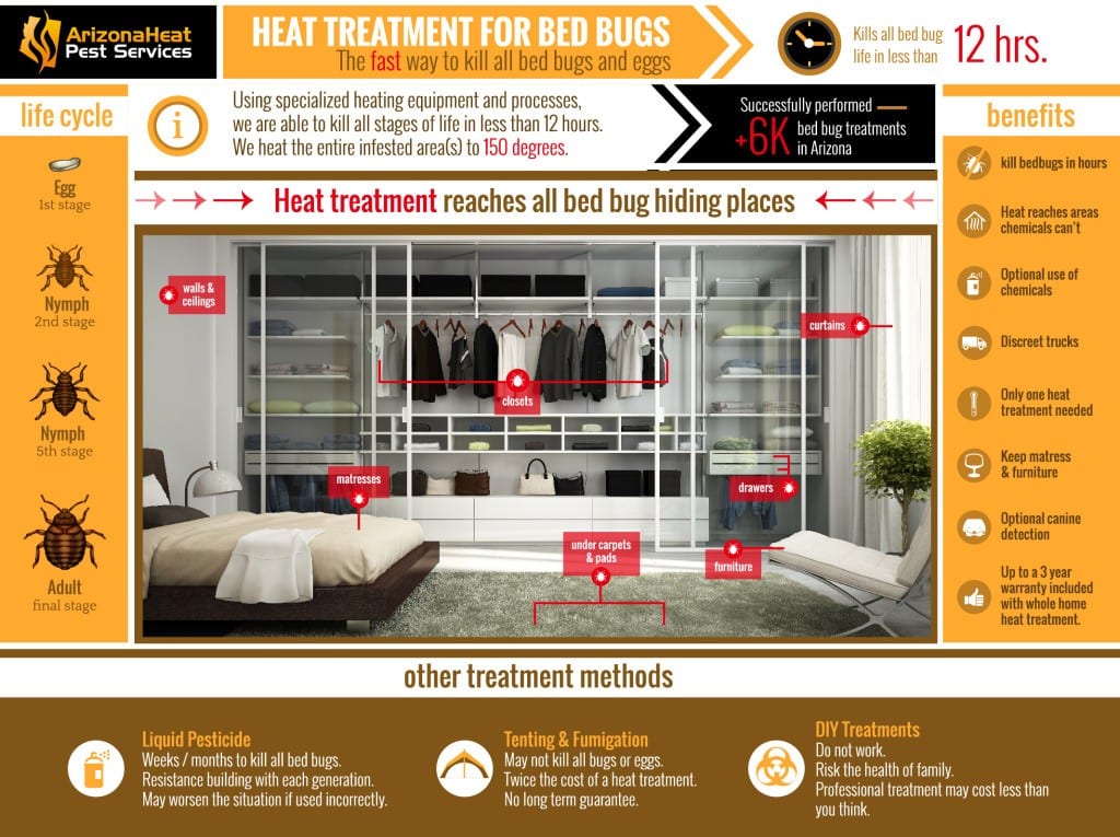 Bed Bug Heat Treatment Tucson Infographic